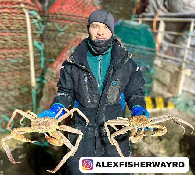 Munca sezonieră în industria pescuitului din Norvegia: argumente pro și contra